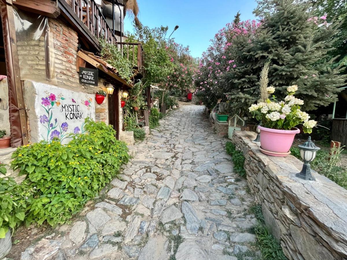 Homestay Mystic